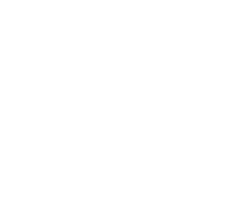 fly*events